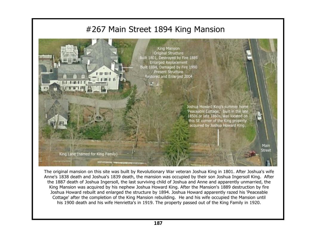 187_a_hd1_main_st_west_side_d_267_1894_king_mansion_a_birds_eye_view_a